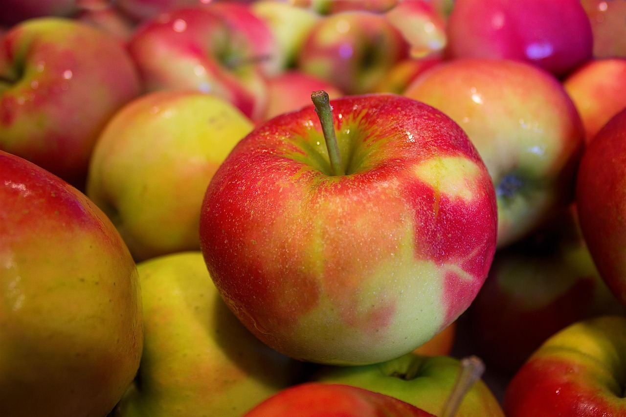 apples jonagold health free photo