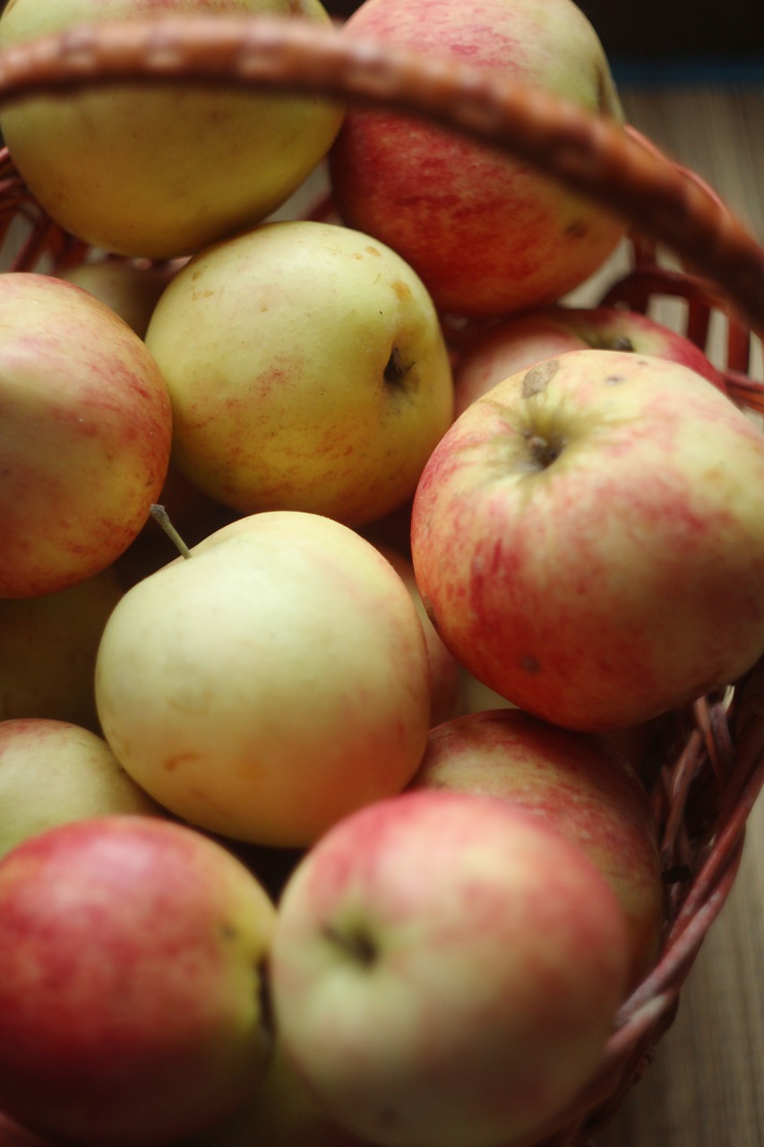 apples summer food free photo