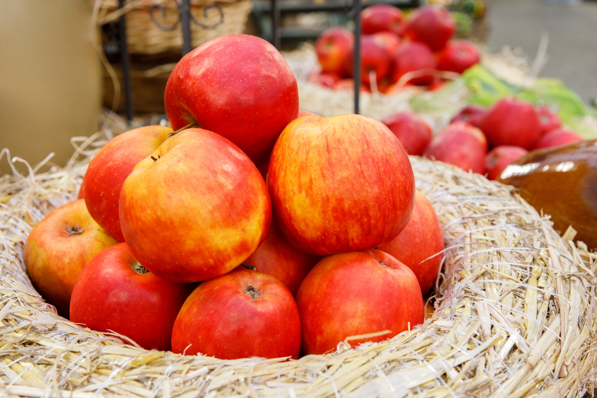 apple apples basket free photo