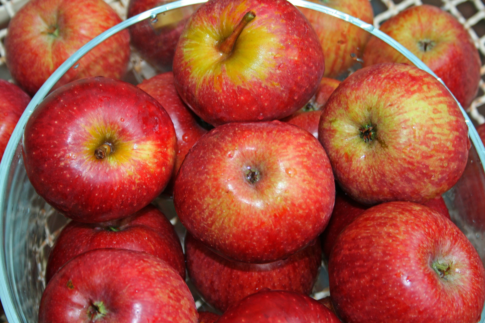 apples fruit food free photo