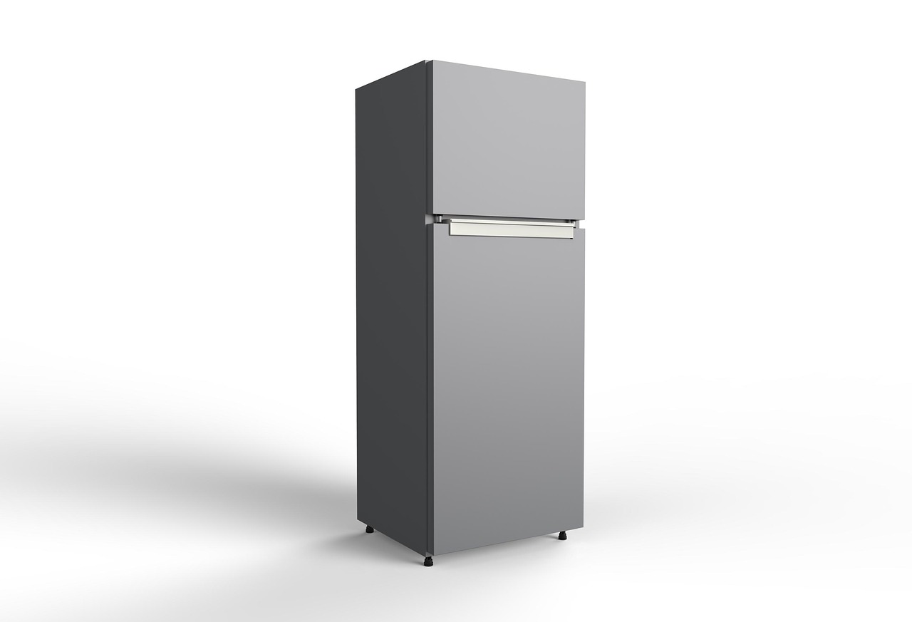 appliance fridge home free photo