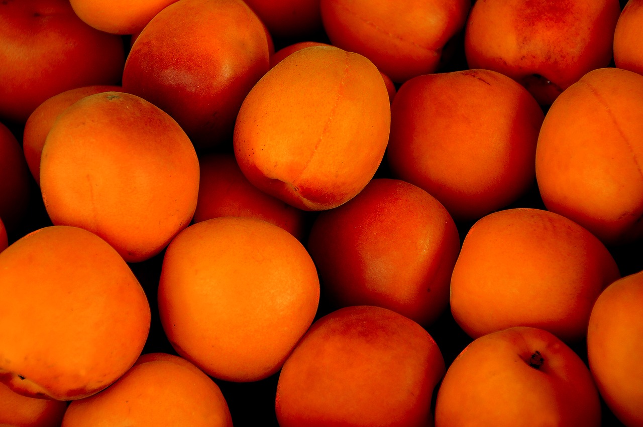 apricot tropical fruit fruit free photo