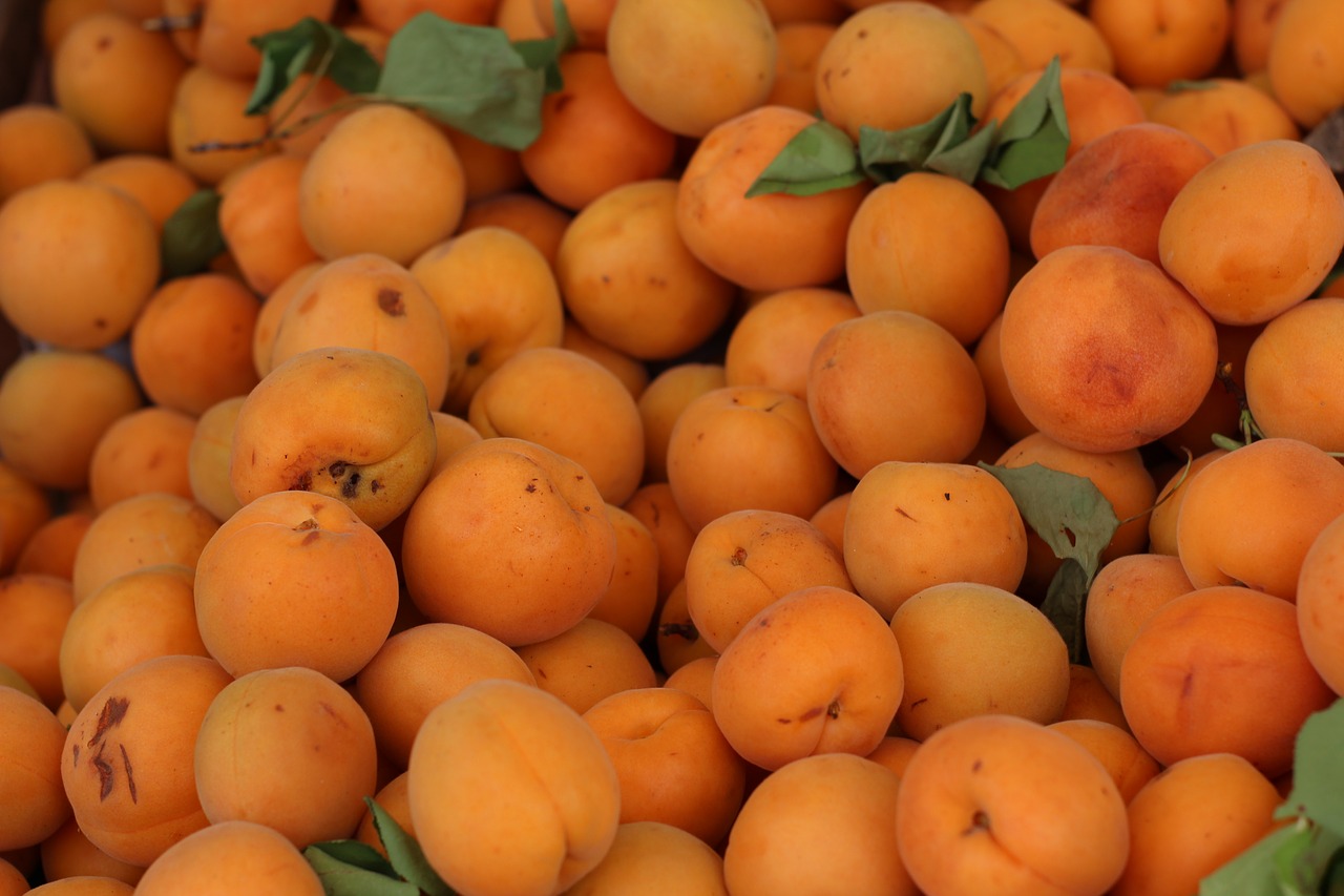 apricot fruit background free photo