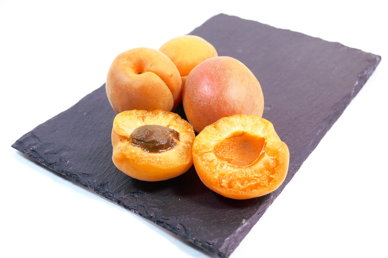 apricot fruit summer free photo