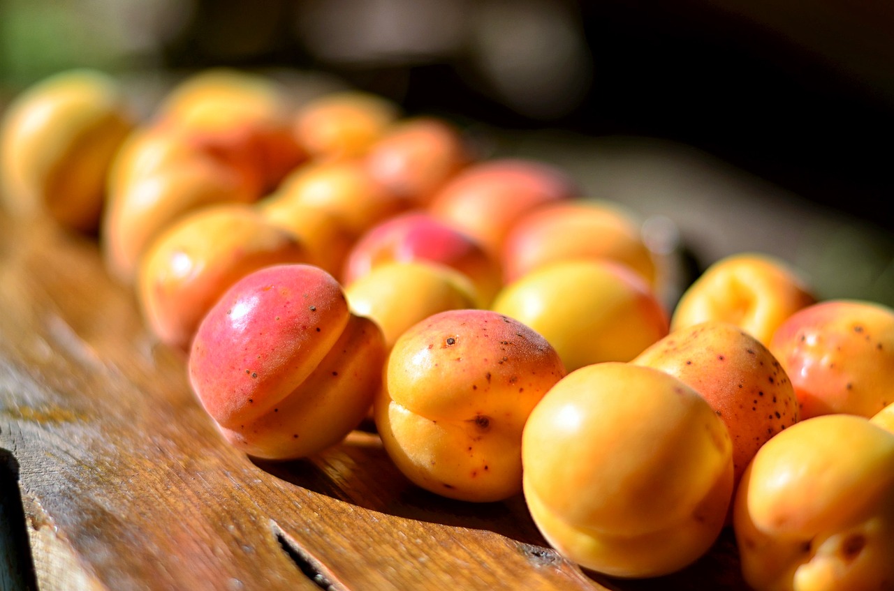 apricot fruit macro free photo