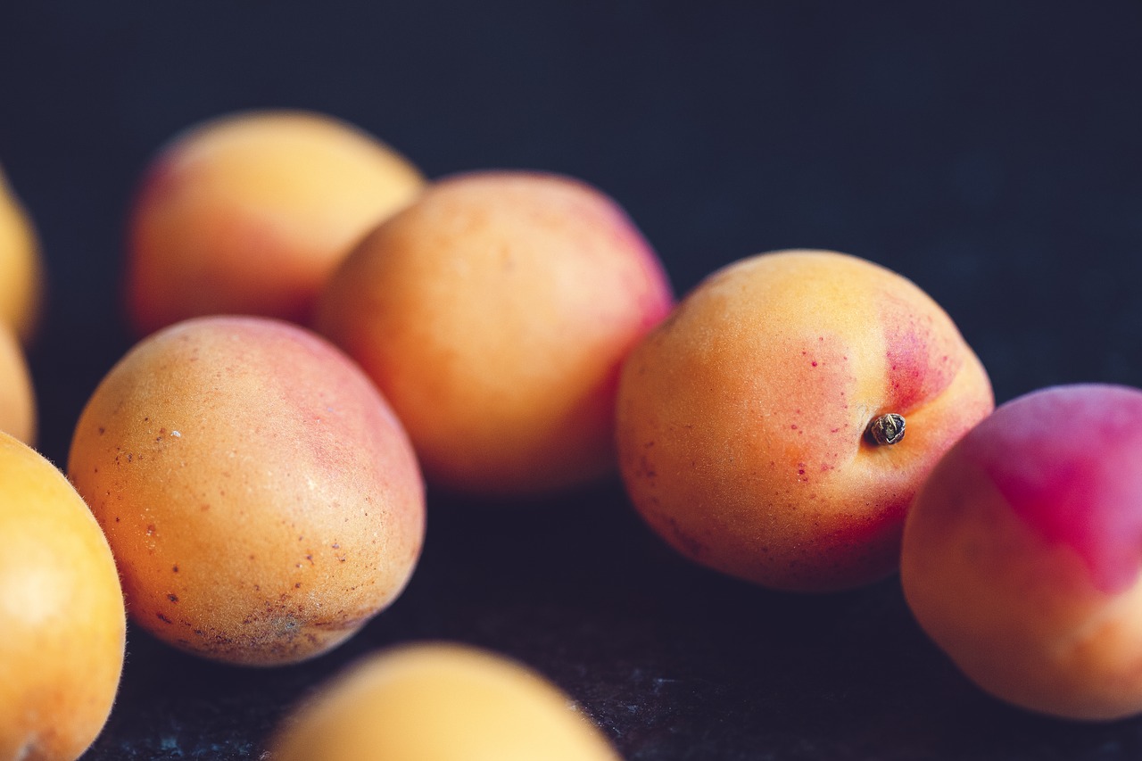 apricot  fruit  healthy free photo
