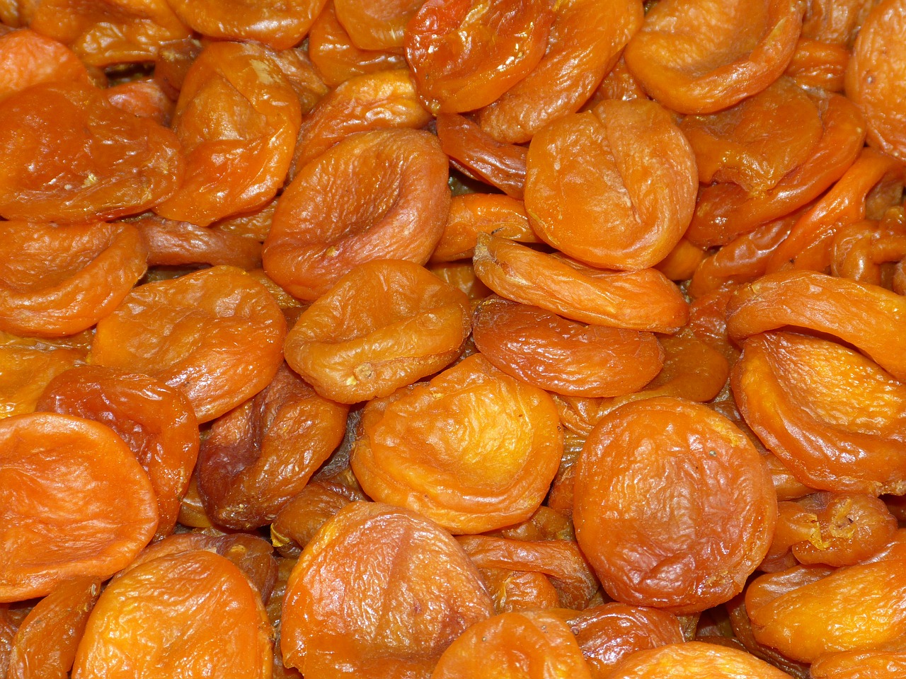 apricot dried fruit fruit free photo