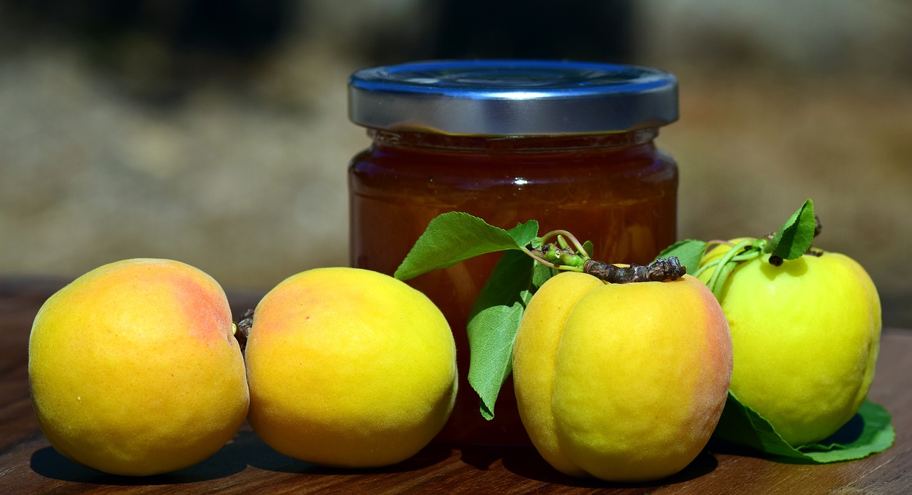 apricot jam apricots fruit free photo