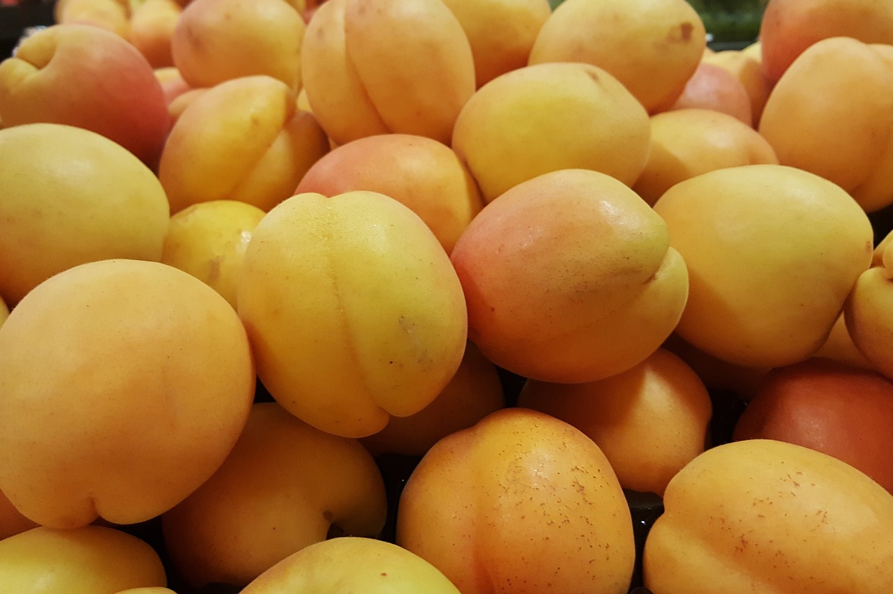 apricots fruit stone fruit free photo