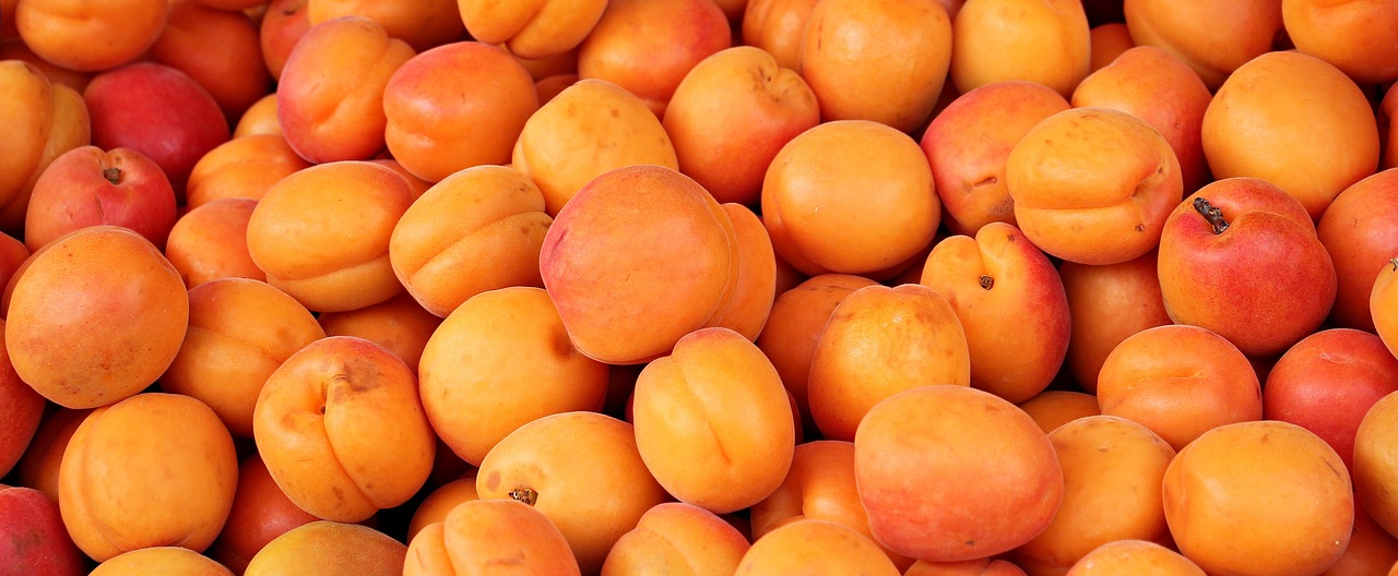 apricots fruit fruits free photo