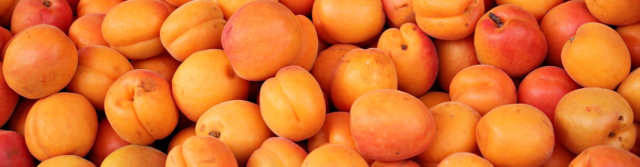 apricots fruit fruits free photo