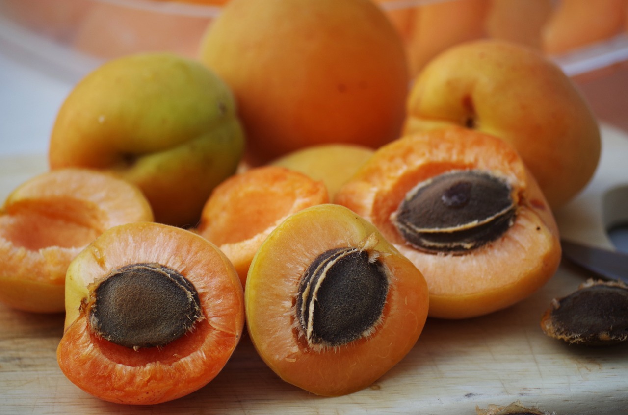 apricots fruit orange free photo