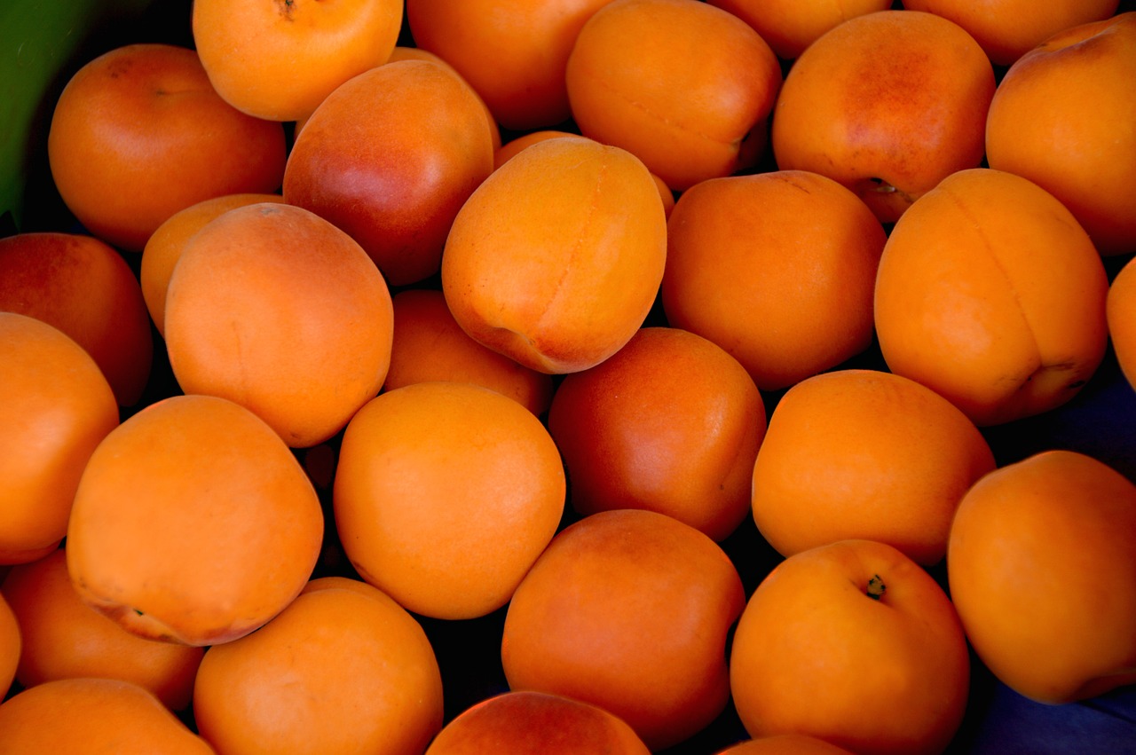 apricots fruits delicious free photo