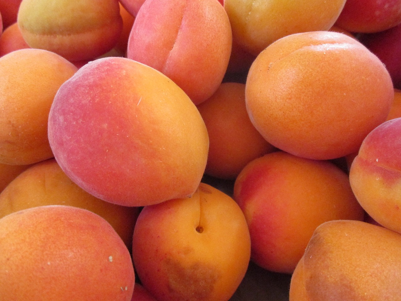apricots fruit apricot-tree free photo
