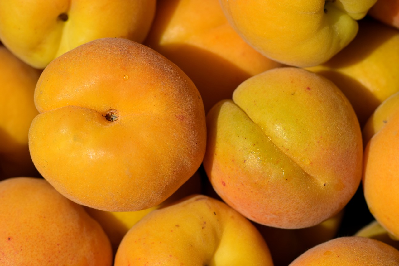 apricots fruit sweet free photo