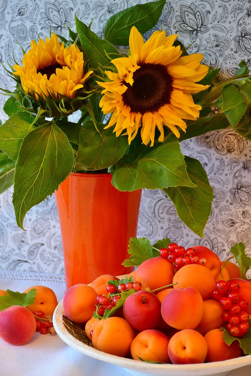apricots sunflower fruit free photo