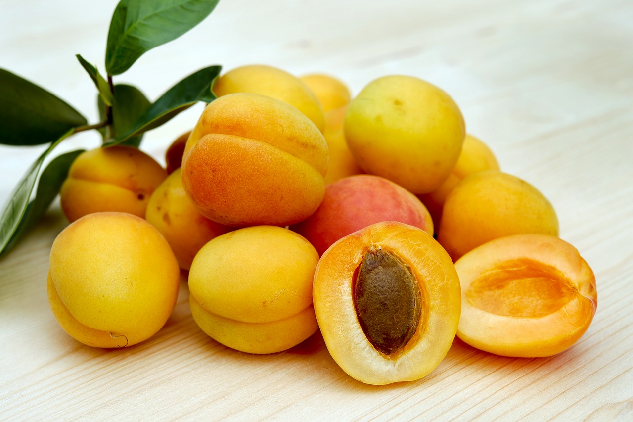 apricots sugar apricots fruit free photo