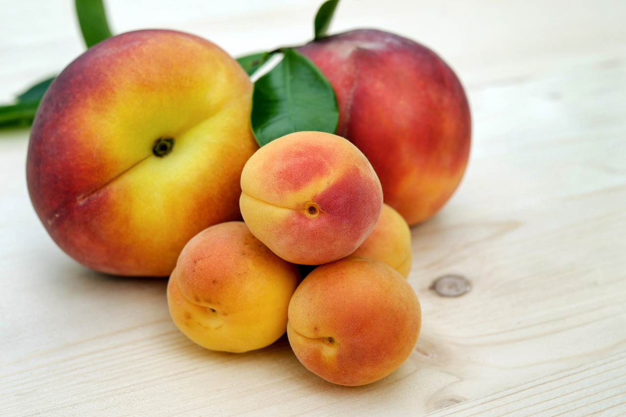 apricots sugar apricots peach free photo
