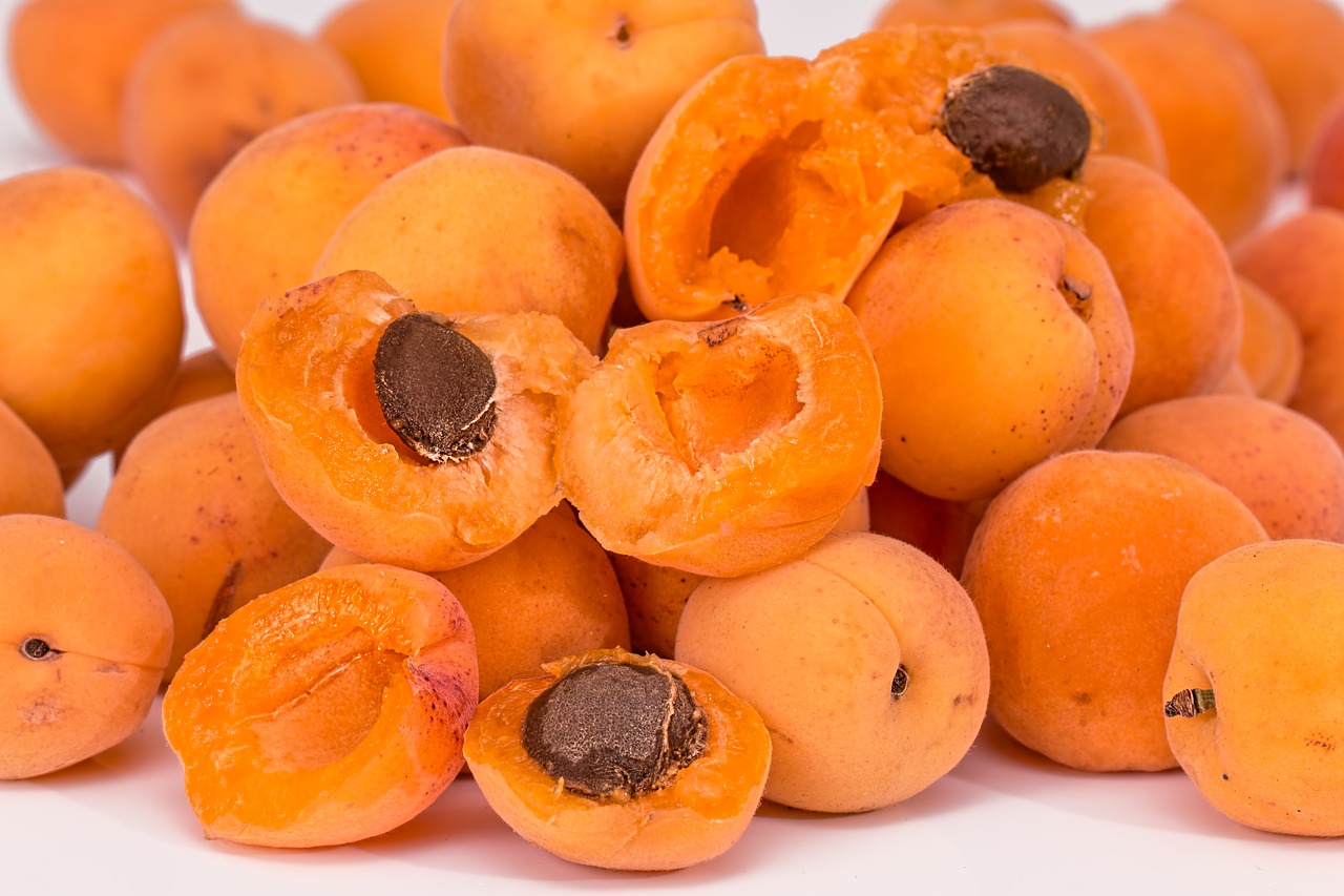 apricots fruit pips free photo