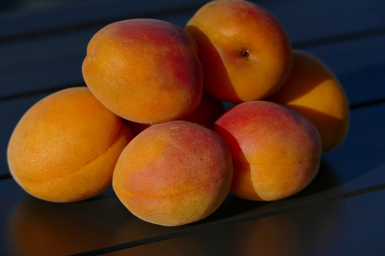 apricots  yellow  fruit free photo