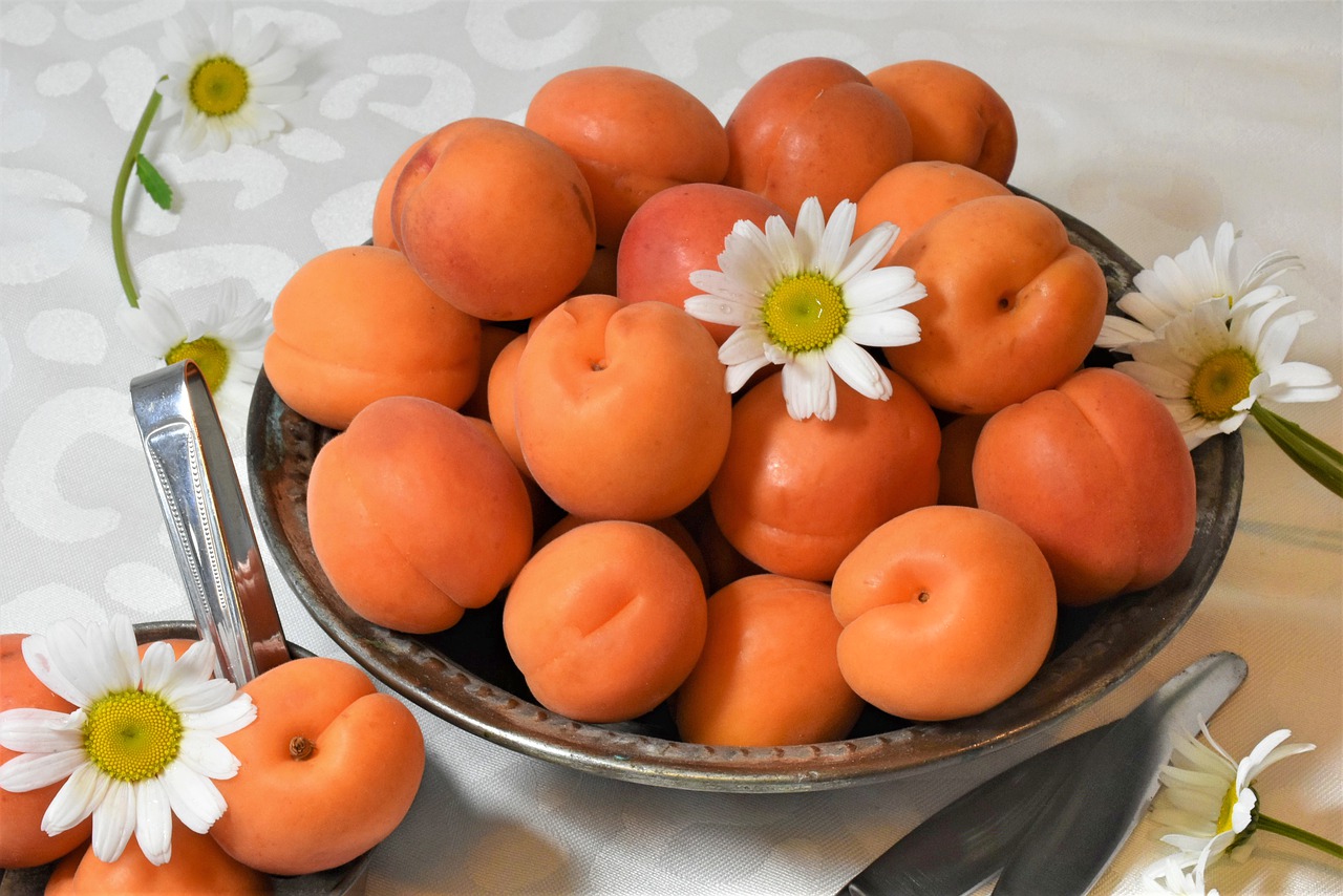 apricots  fruit  stone fruit free photo