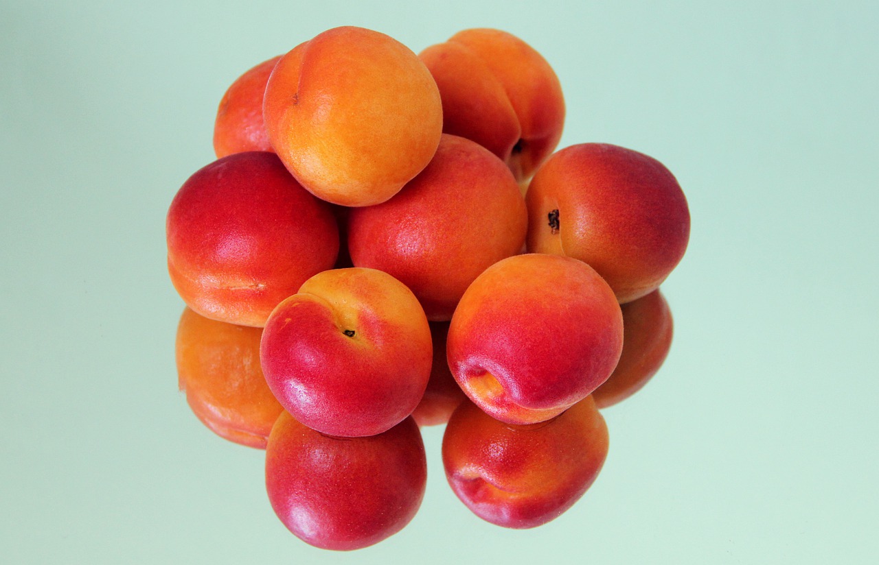 apricots  fruit  food free photo