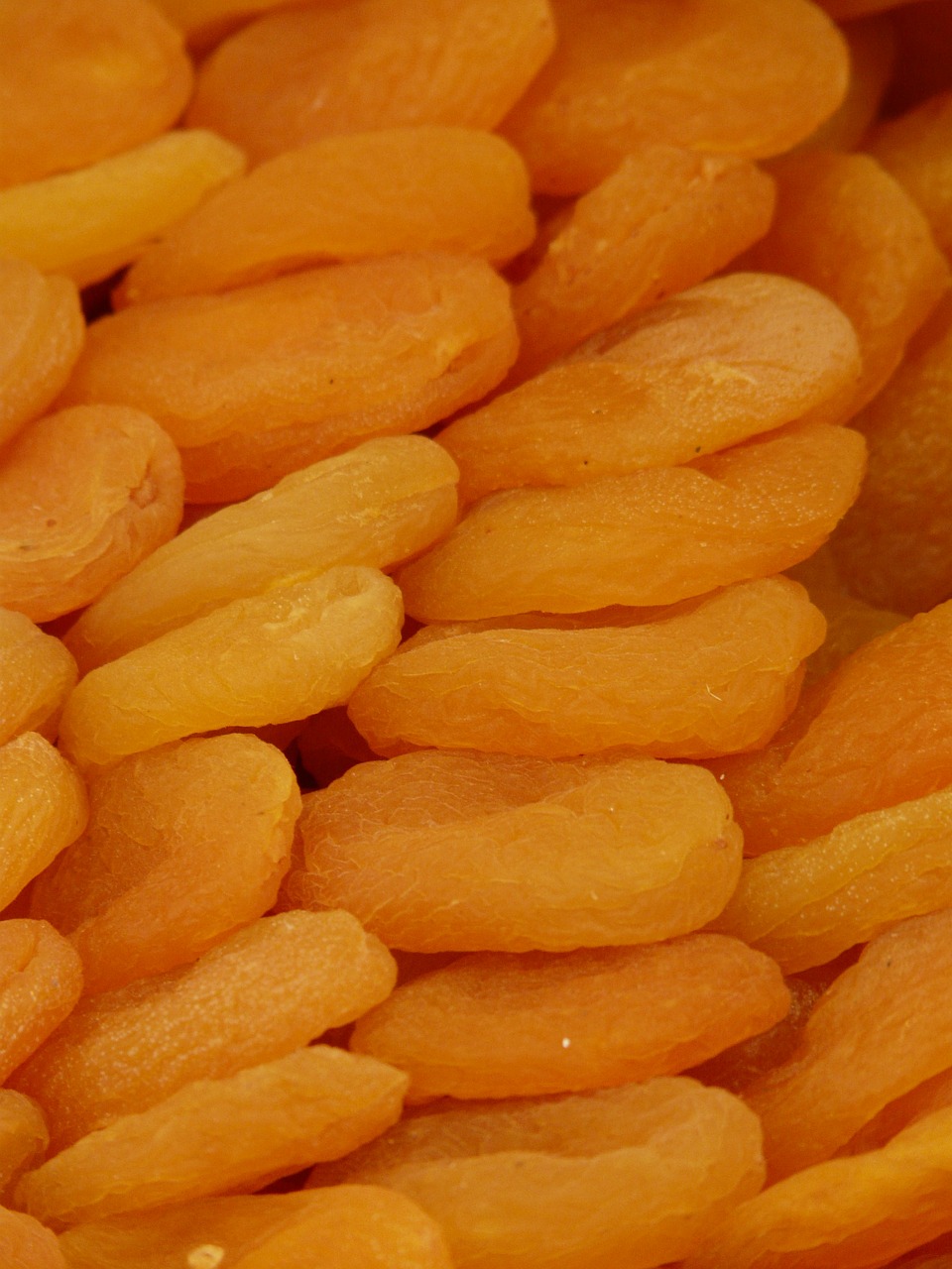 apricots dried market free photo