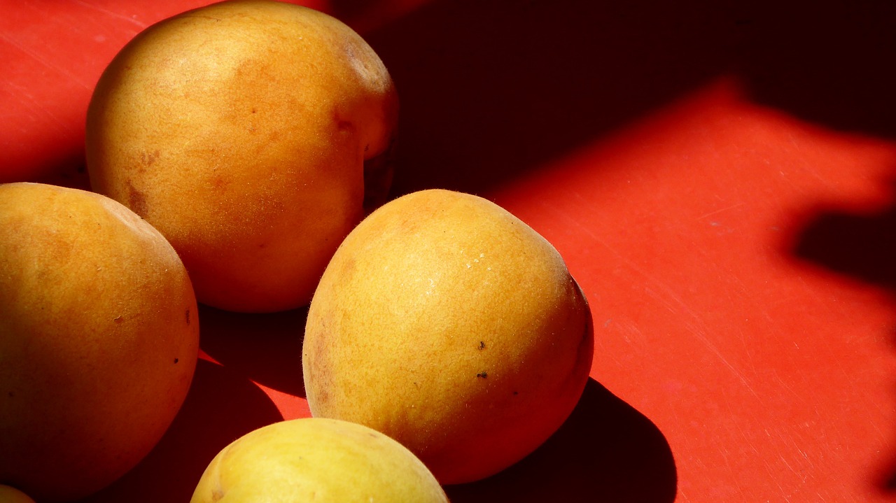 apricots fruit rot orange free photo