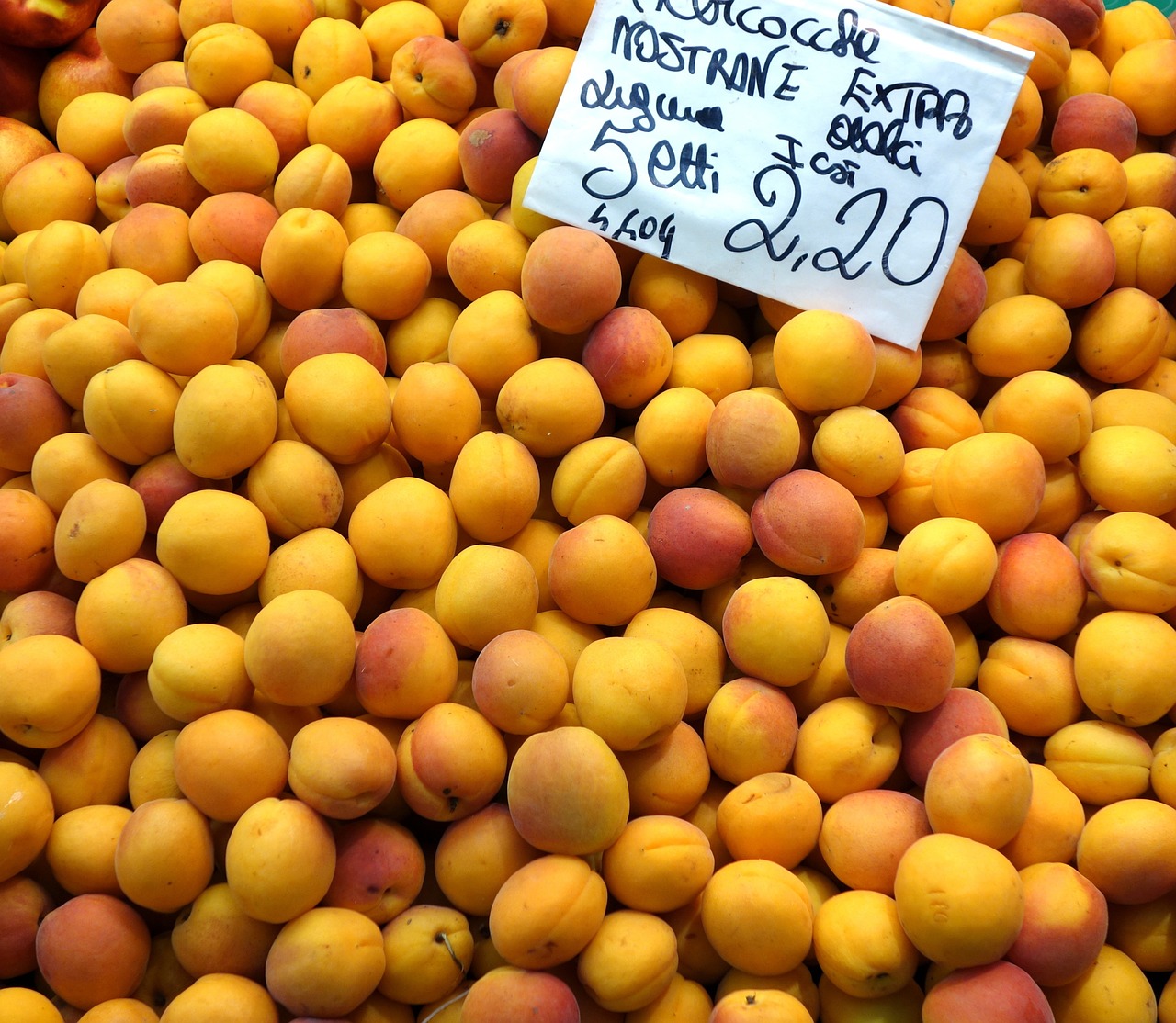 apricots fruit orange free photo