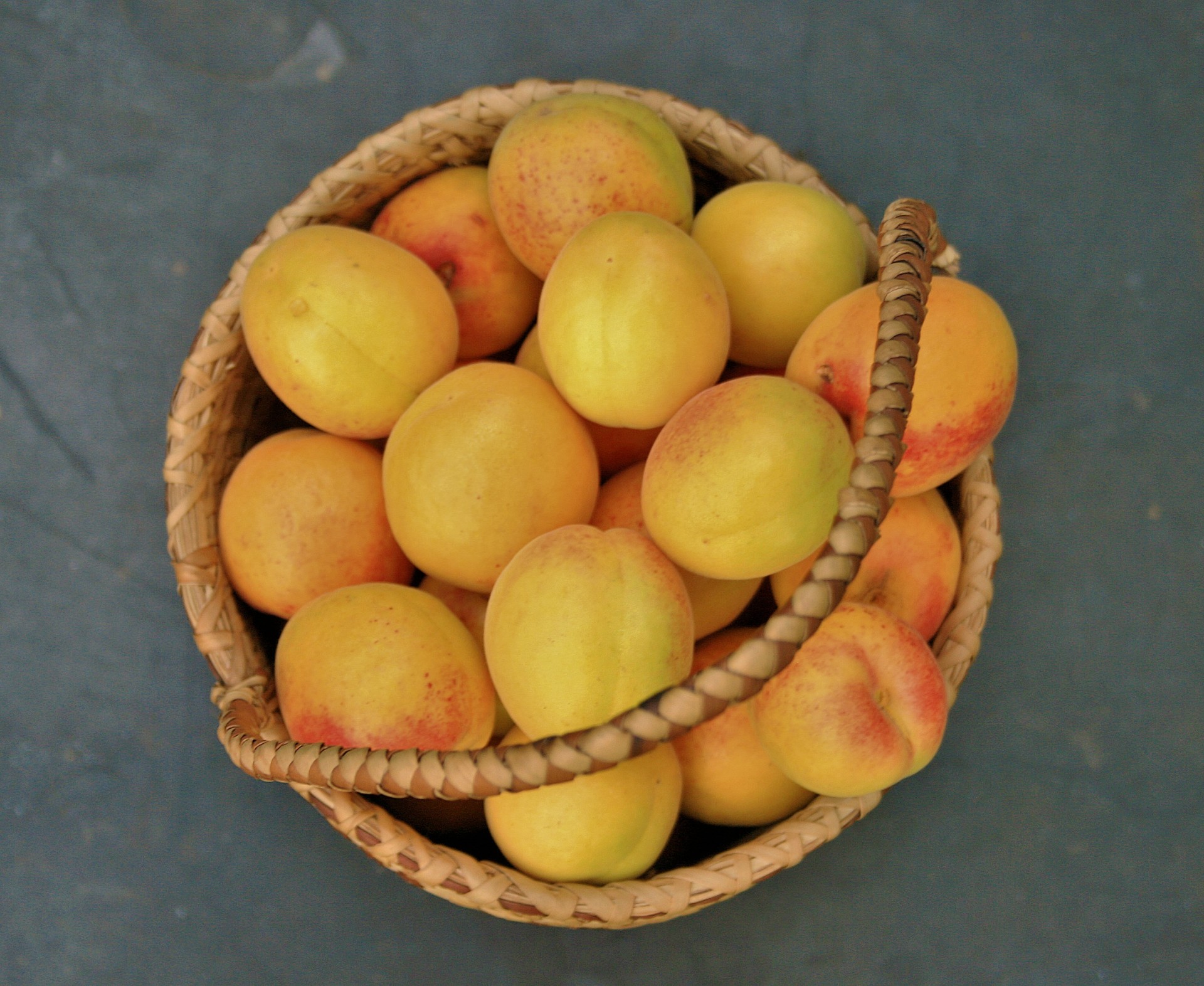 fruit apricots harvested free photo