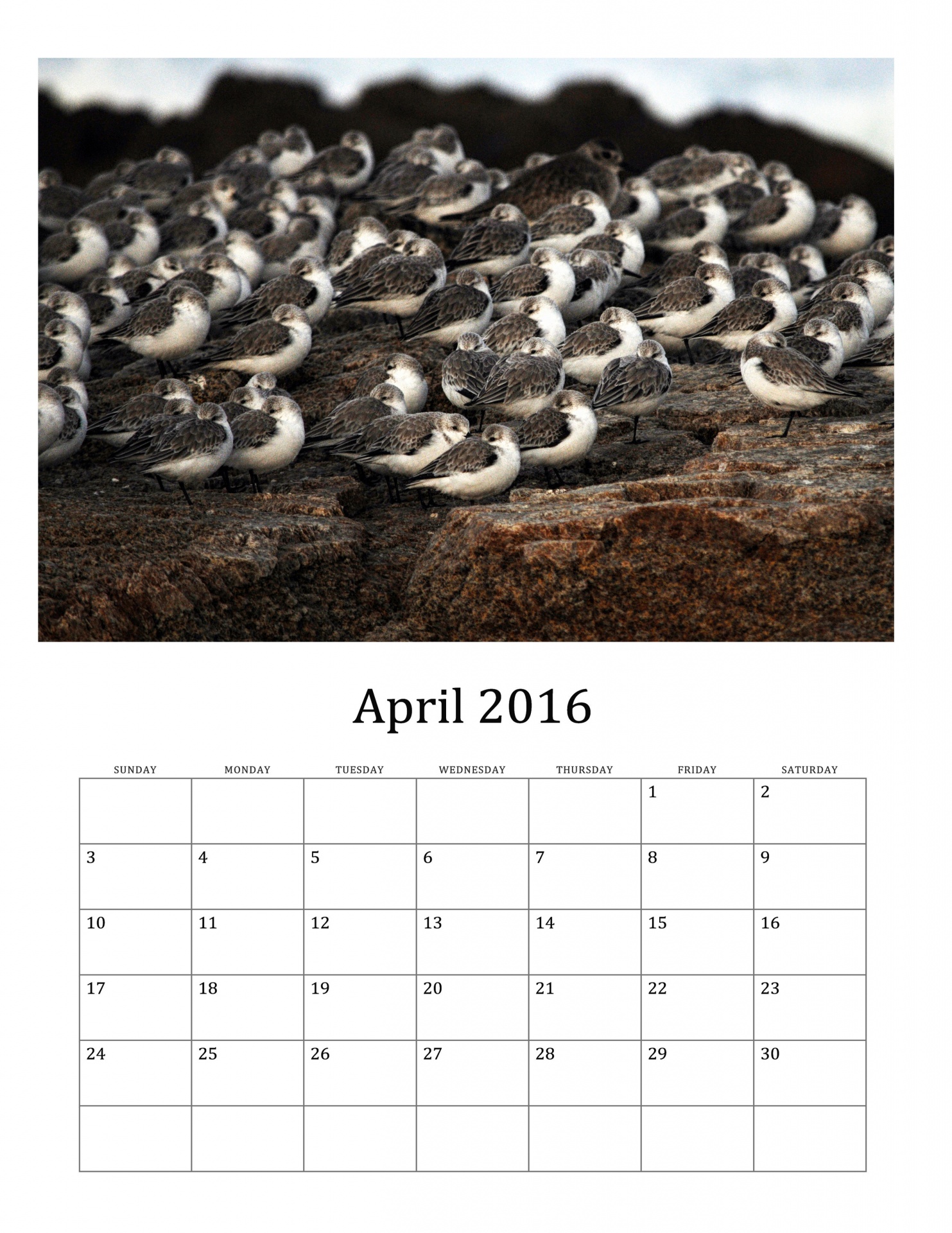 2016 2016 calendar 2016 monthly calendar free photo