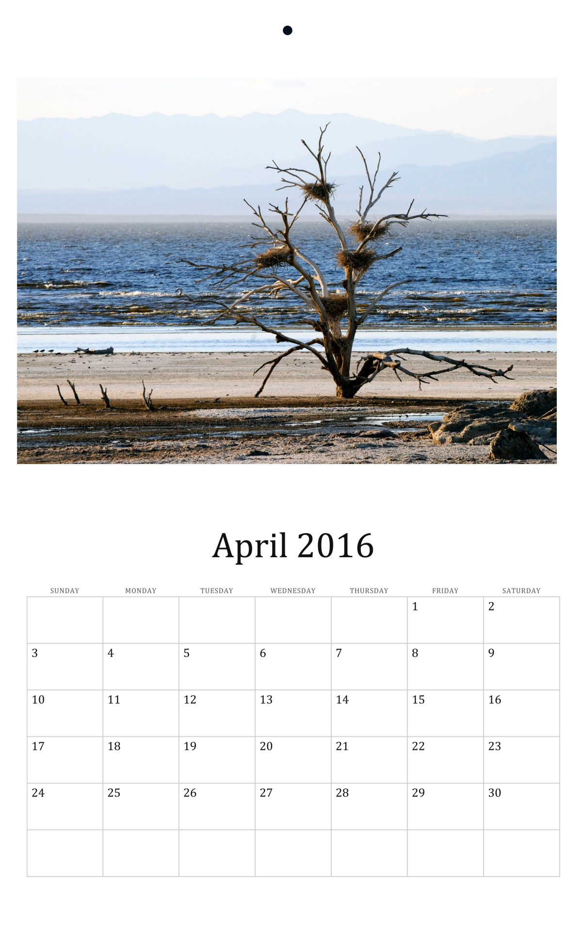 2016 2016 calendar april free photo