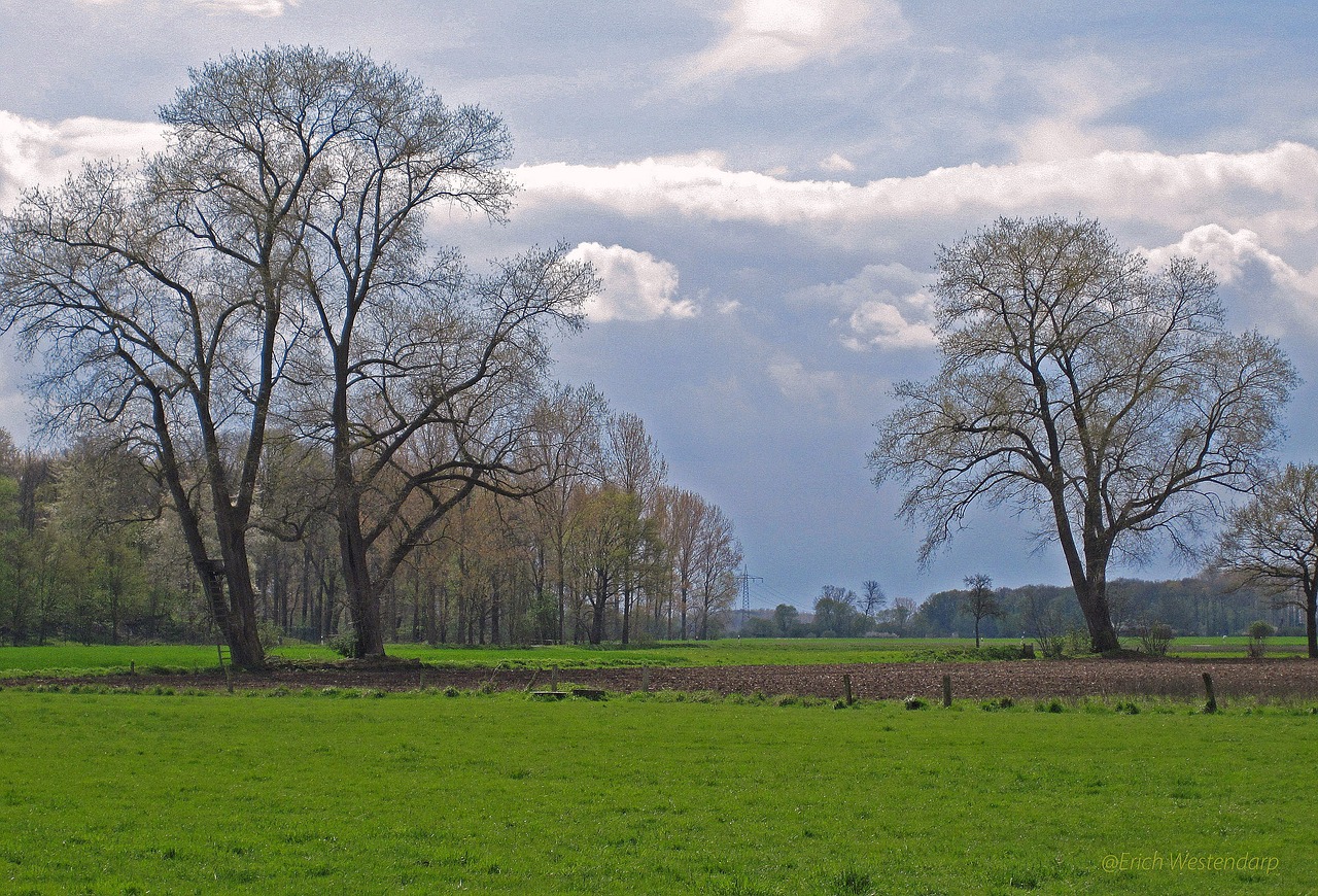 april weather münsterland spring free photo