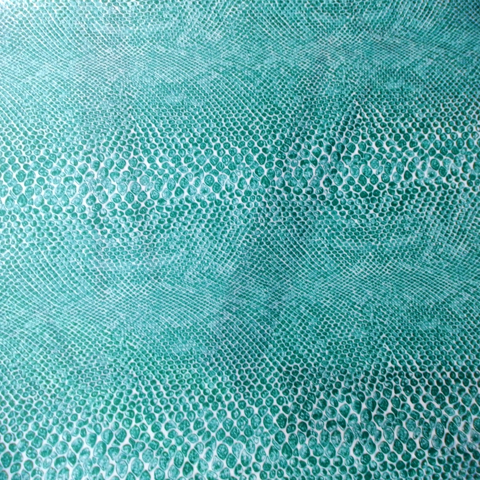 background fabric snake leather free photo