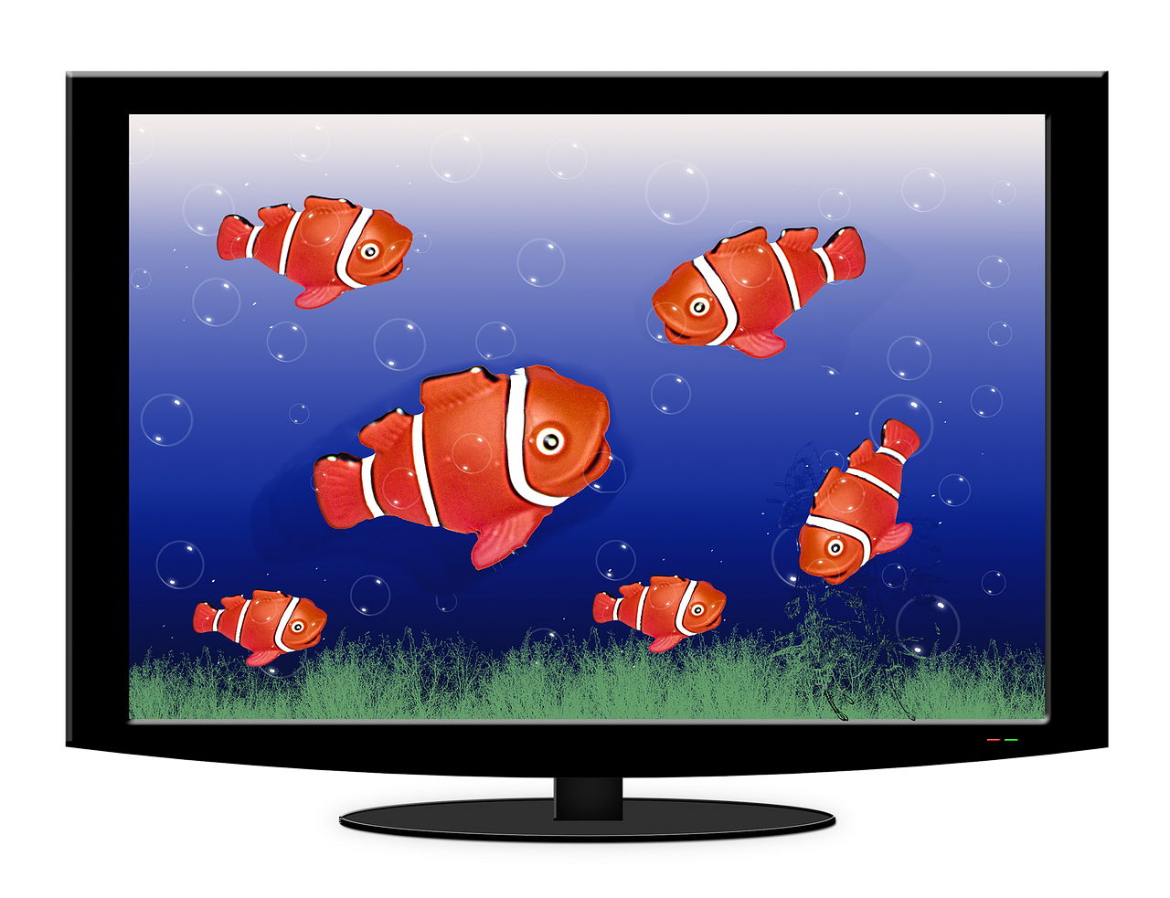 aquarium tv fish free photo