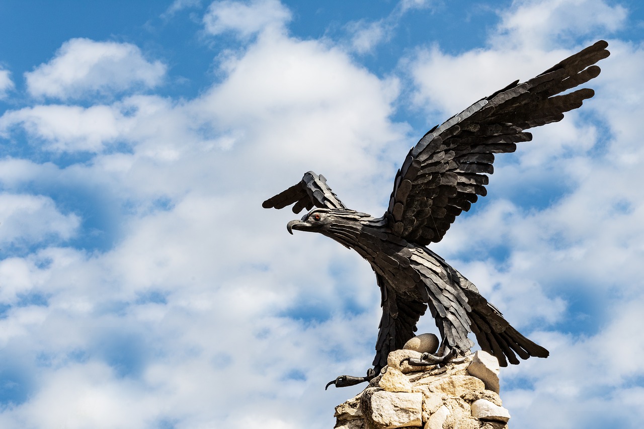 aquila  bird  statue free photo