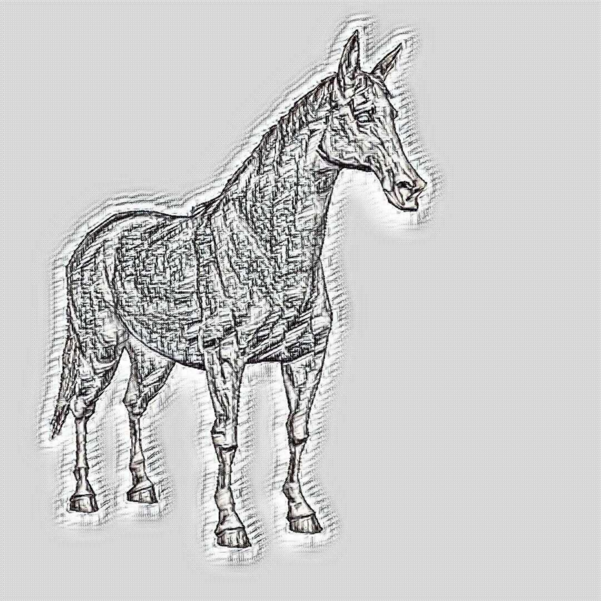 arabian horse pen free photo