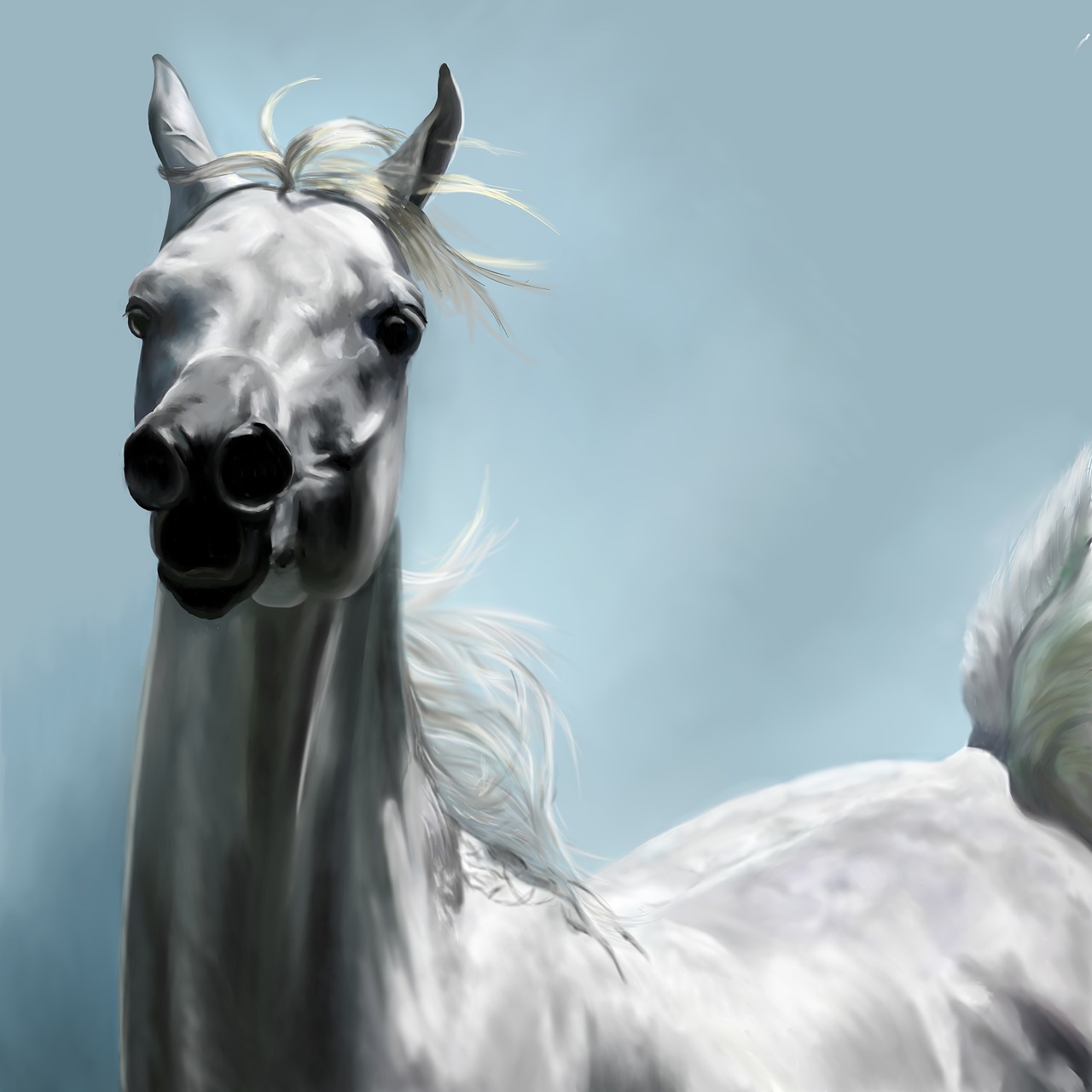 arabian horse  horse painting  animal free photo