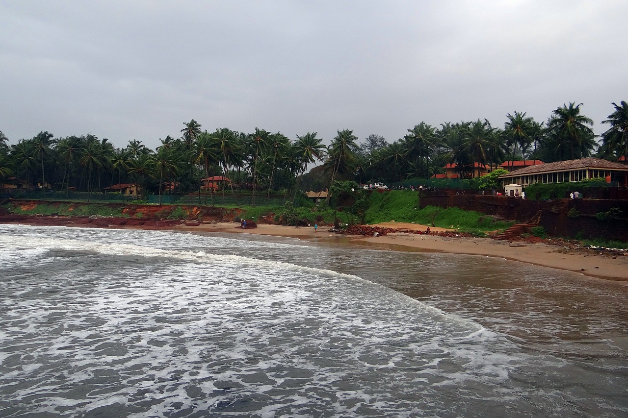 arabian sea stormy beach free photo