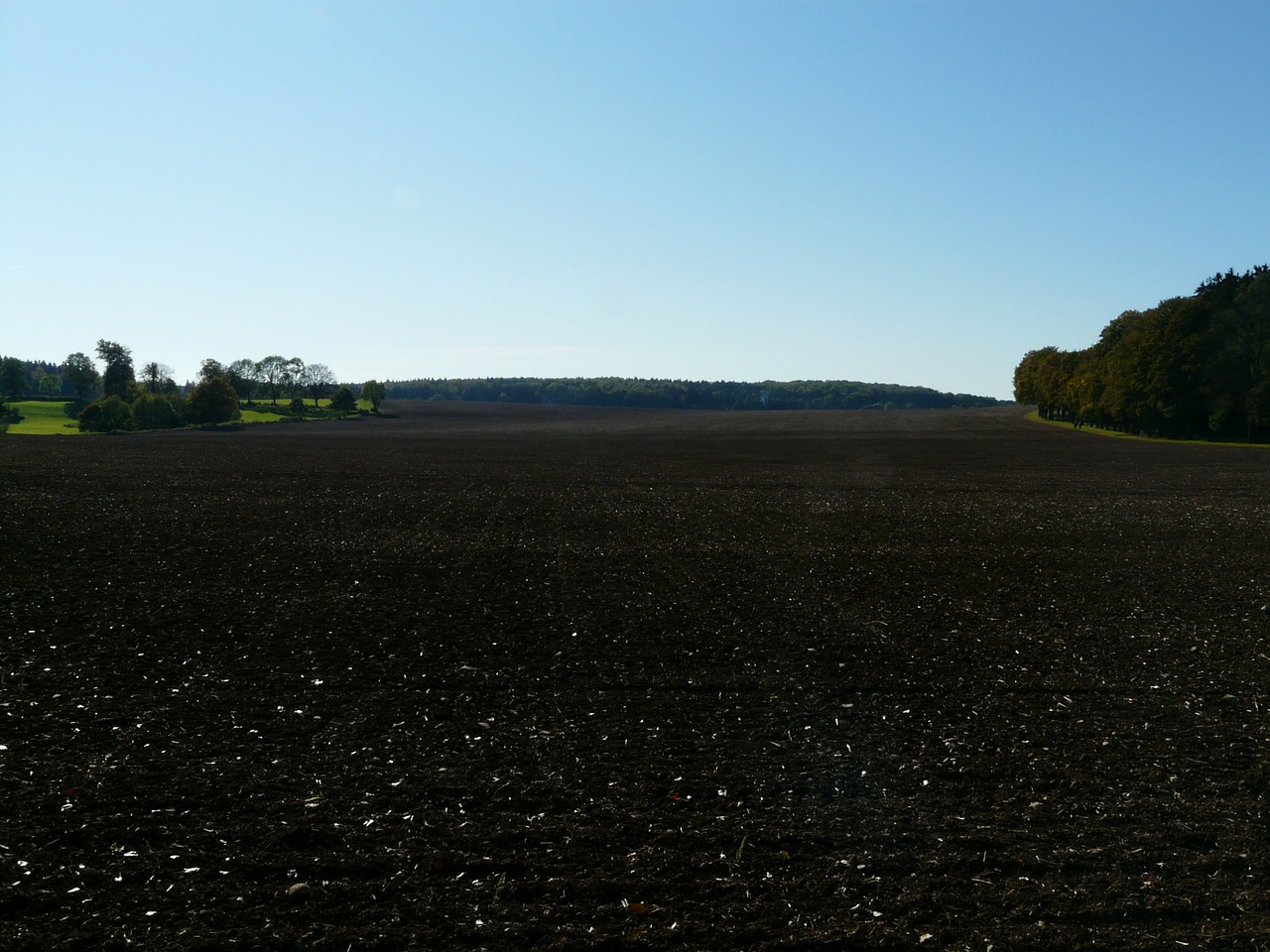 arable field ground free photo