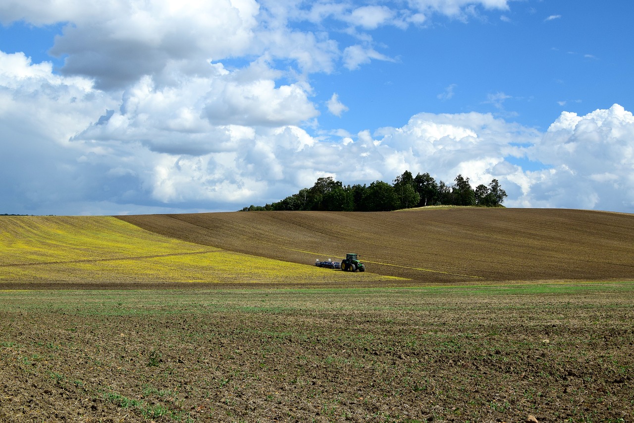 arable field landscape free photo