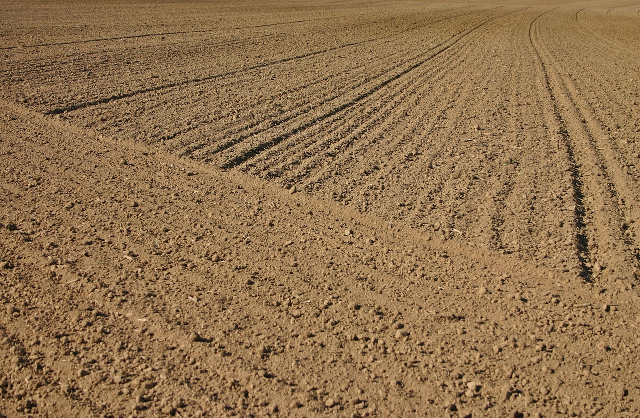 arable ackerfurchen furrow free photo