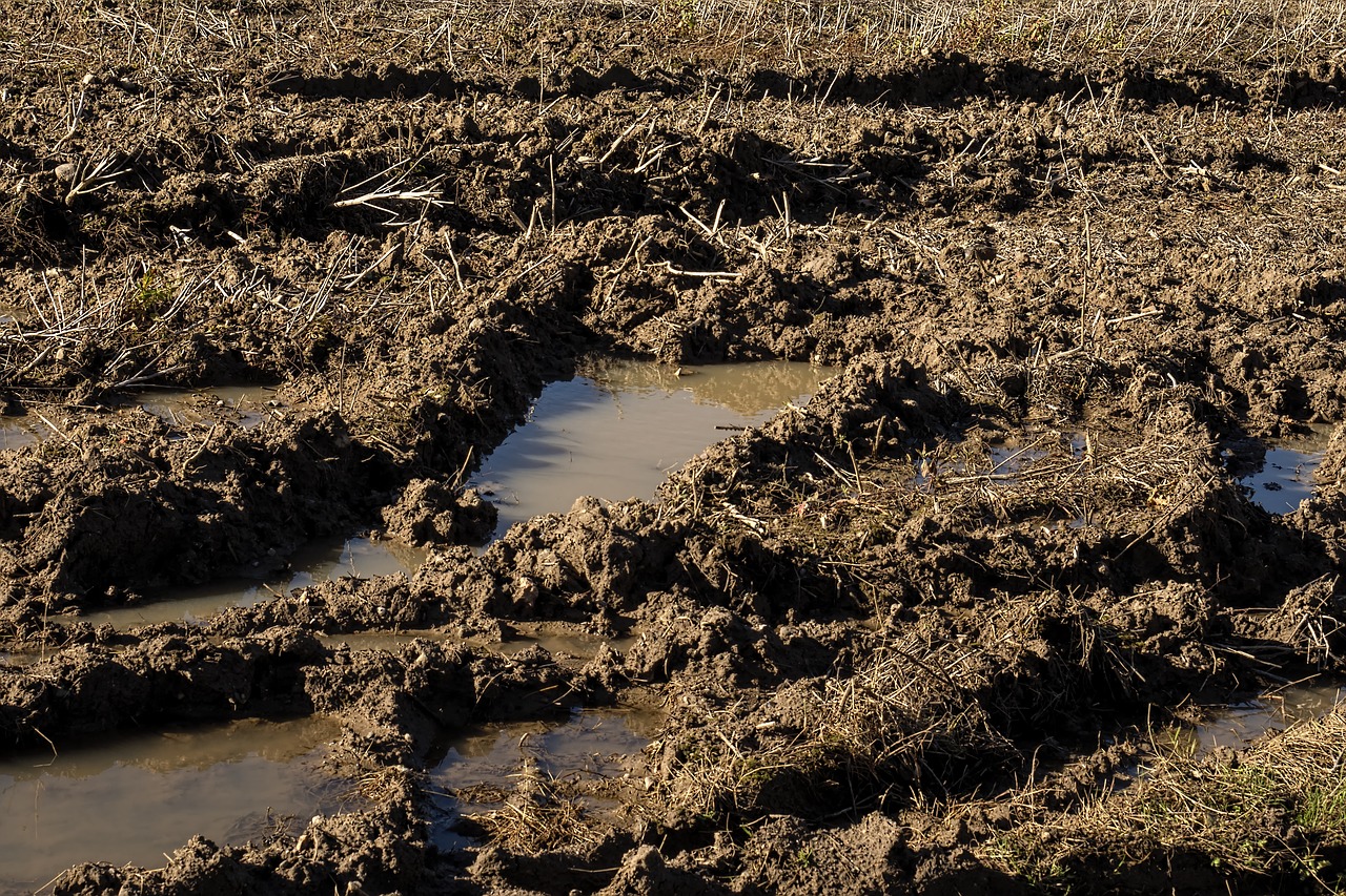 arable arable land wet free photo