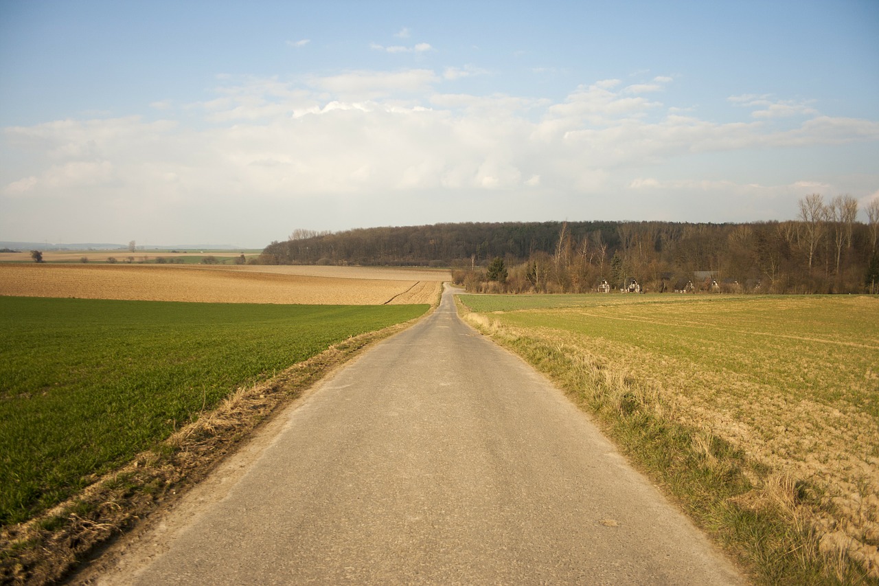 arable fields lane free photo