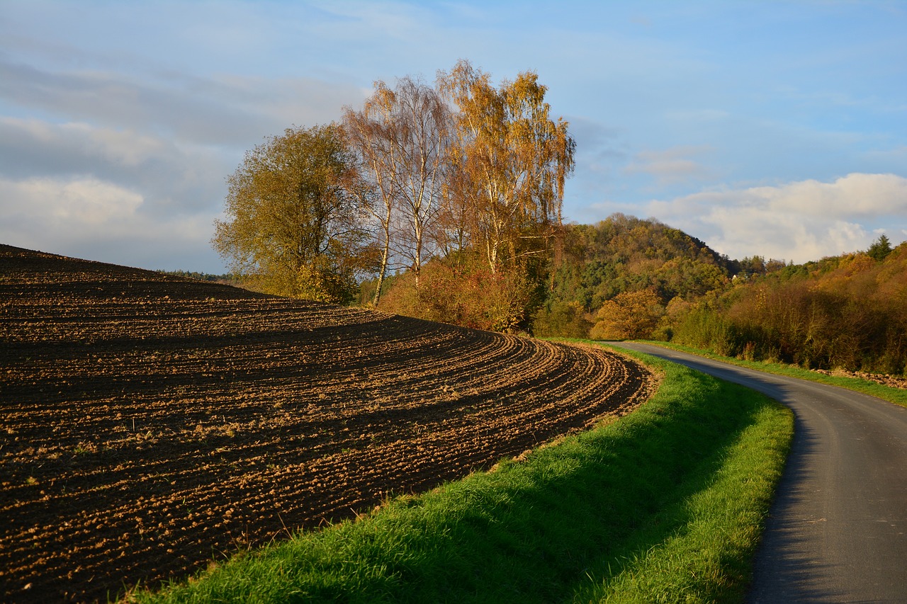 arable ackerfurchen agriculture free photo