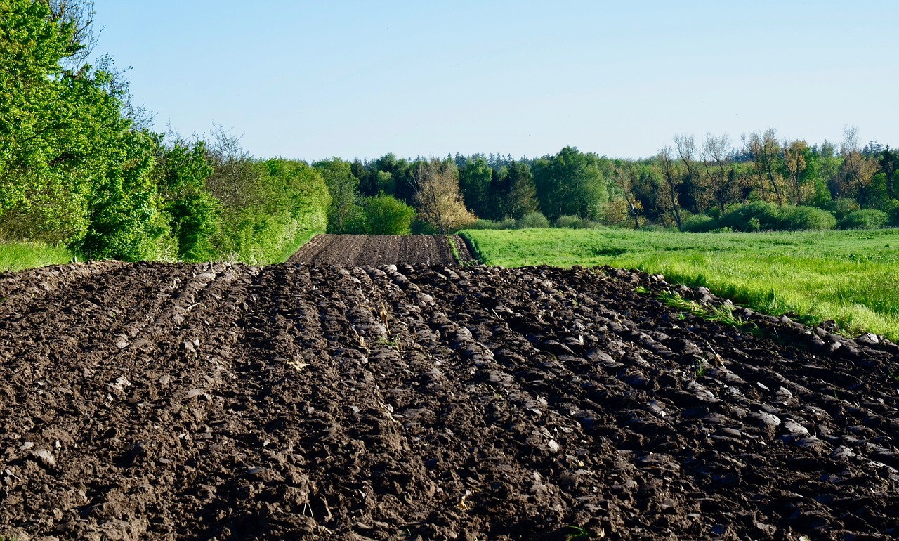 arable  field  landscape free photo