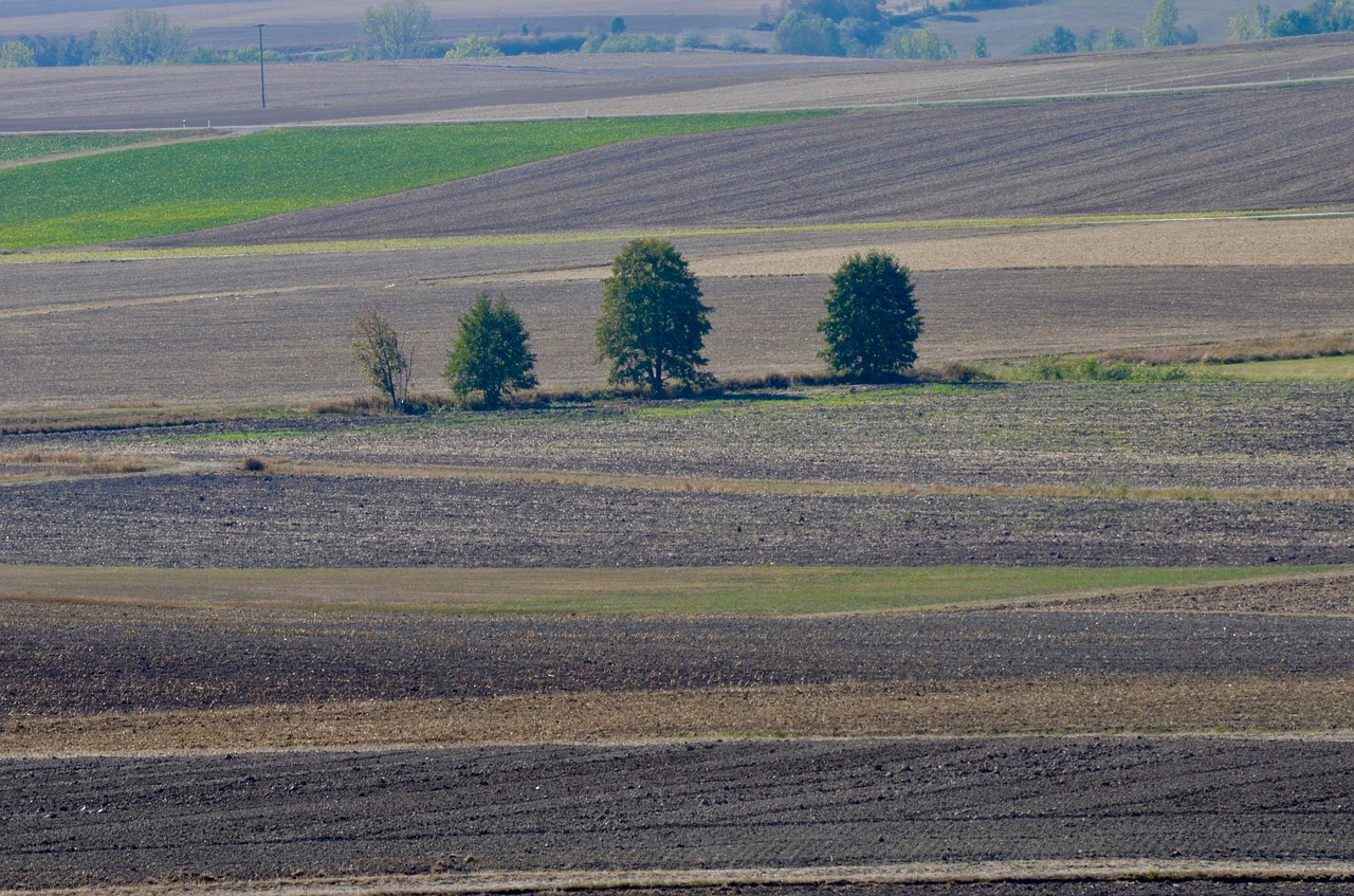 arable  fields  agriculture free photo