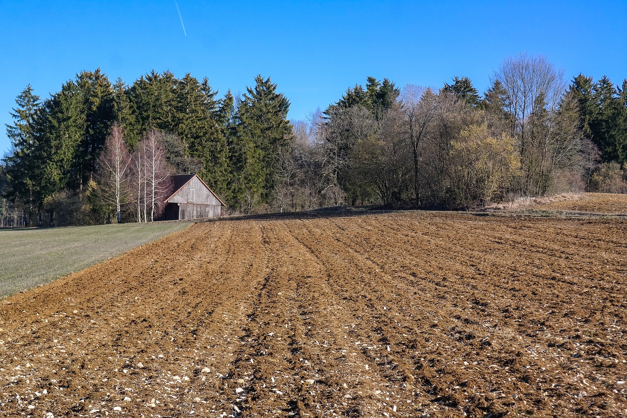 arable  field  spring free photo