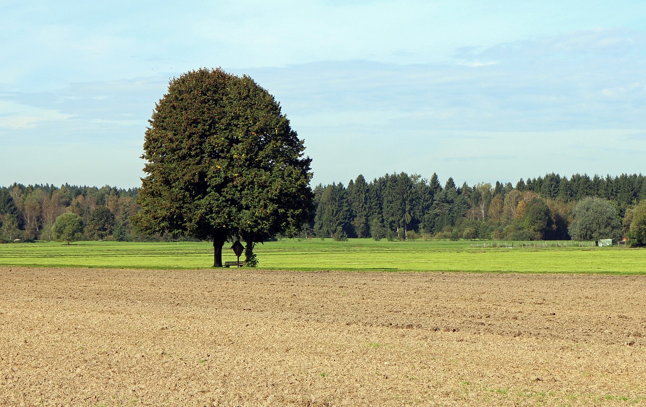 arable agriculture tree free photo