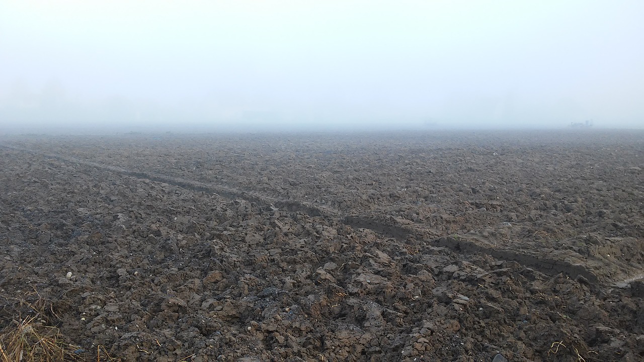 arable autumn fog free photo